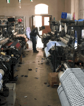 MSMEs, Startups and the Future of the Palestinian Economy