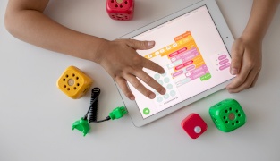 MENACodes: Science, technology and innovation (STI) Program for MENA Future Entrepreneurs and Innovators 