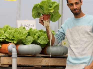 H2O Farms - Founder Basel Amarna